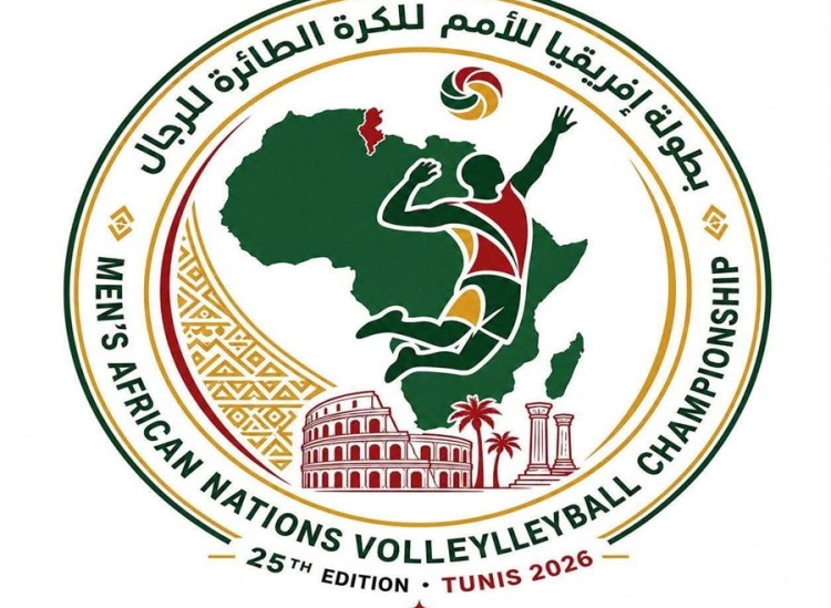 Men's african nations volleyball 