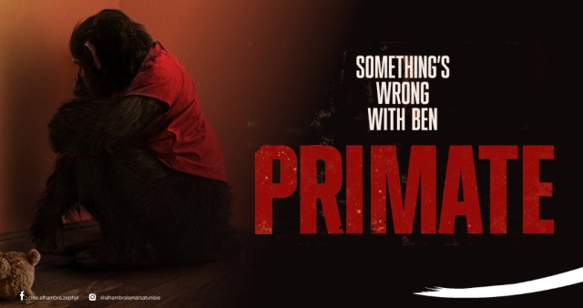 Primate le 22/01