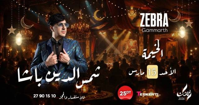 Chamseddine bacha | zebra club