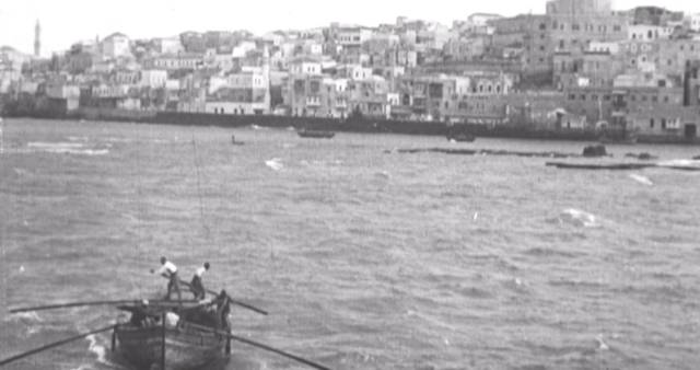 Palestine, a revised narrative 