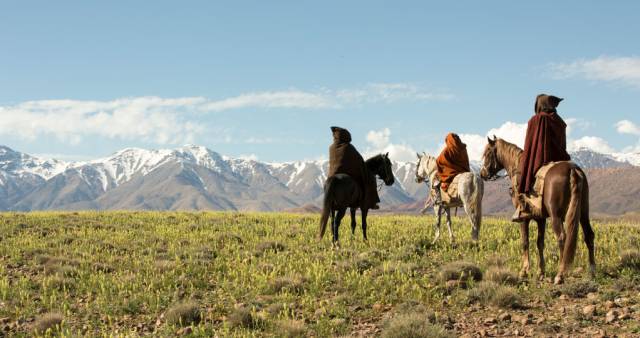 Mimosas - Cinematdour