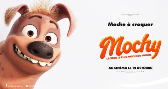 Mochy 18/10